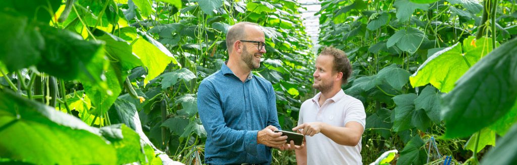 Yookr Smart Farming Überwachung von Kulturen mit Dashboard