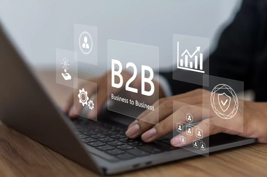 b2b-business-platform-digital-services